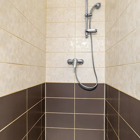 Apartment Borska *
