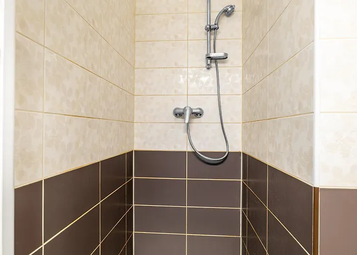 Apartamento Borská *